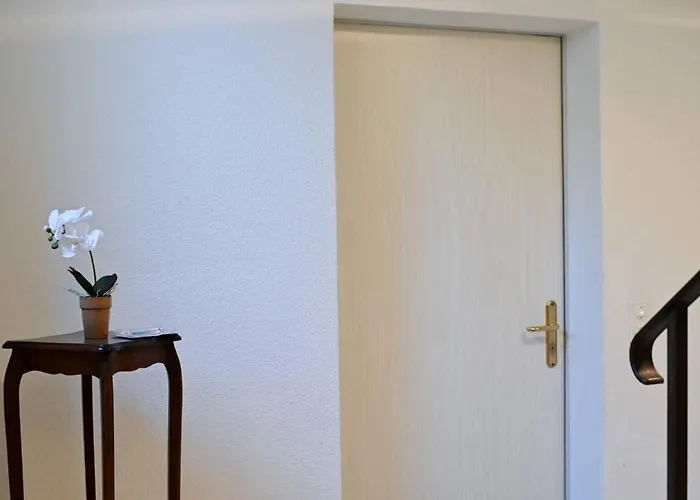 Ruga Vacation Rental 2 In Ascona Ascona